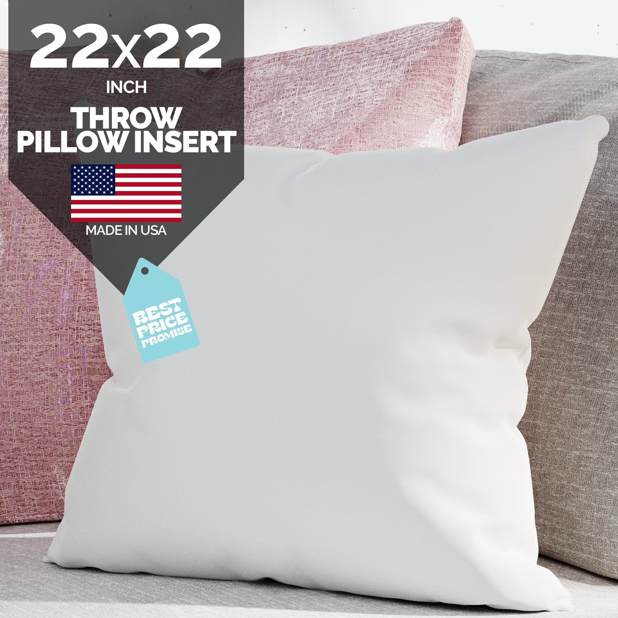 22 inch 2025 pillow insert
