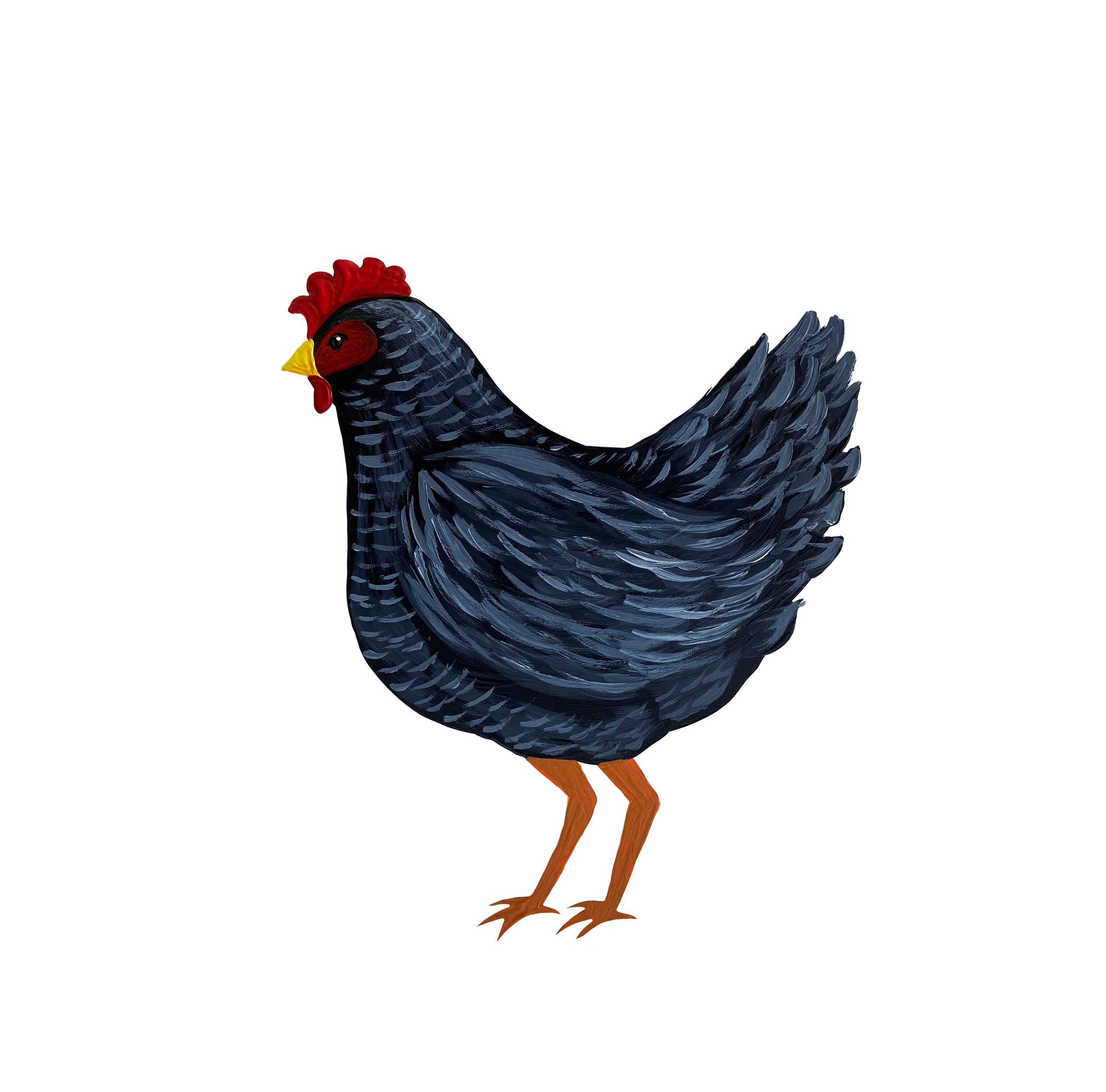 Bemalte Schwarze Henne Huhn Clipart Digital Png Download Etsy