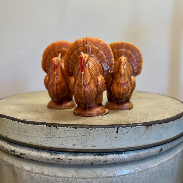 Turkey Candles Etsy