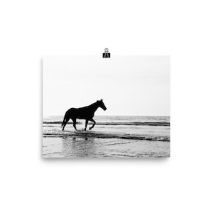 Horse Print, Horse Wall Art Horse Poster