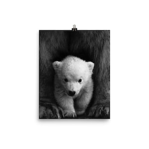 Mama Bear Child Room Poster