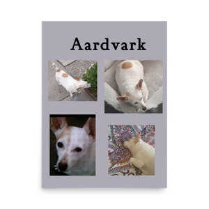 Loss of Pet Memorial Poster - Customizable Remembrance Tribute with Photos & Pet Name - For Healing and Remembering - Sympathy Gift