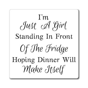Girl Humor Fridge Magnet - I&#39;m Just a Girl Standing in Front of a Fridge Quote - Unique Gift for Bestie -  Funny Fridge Decoration