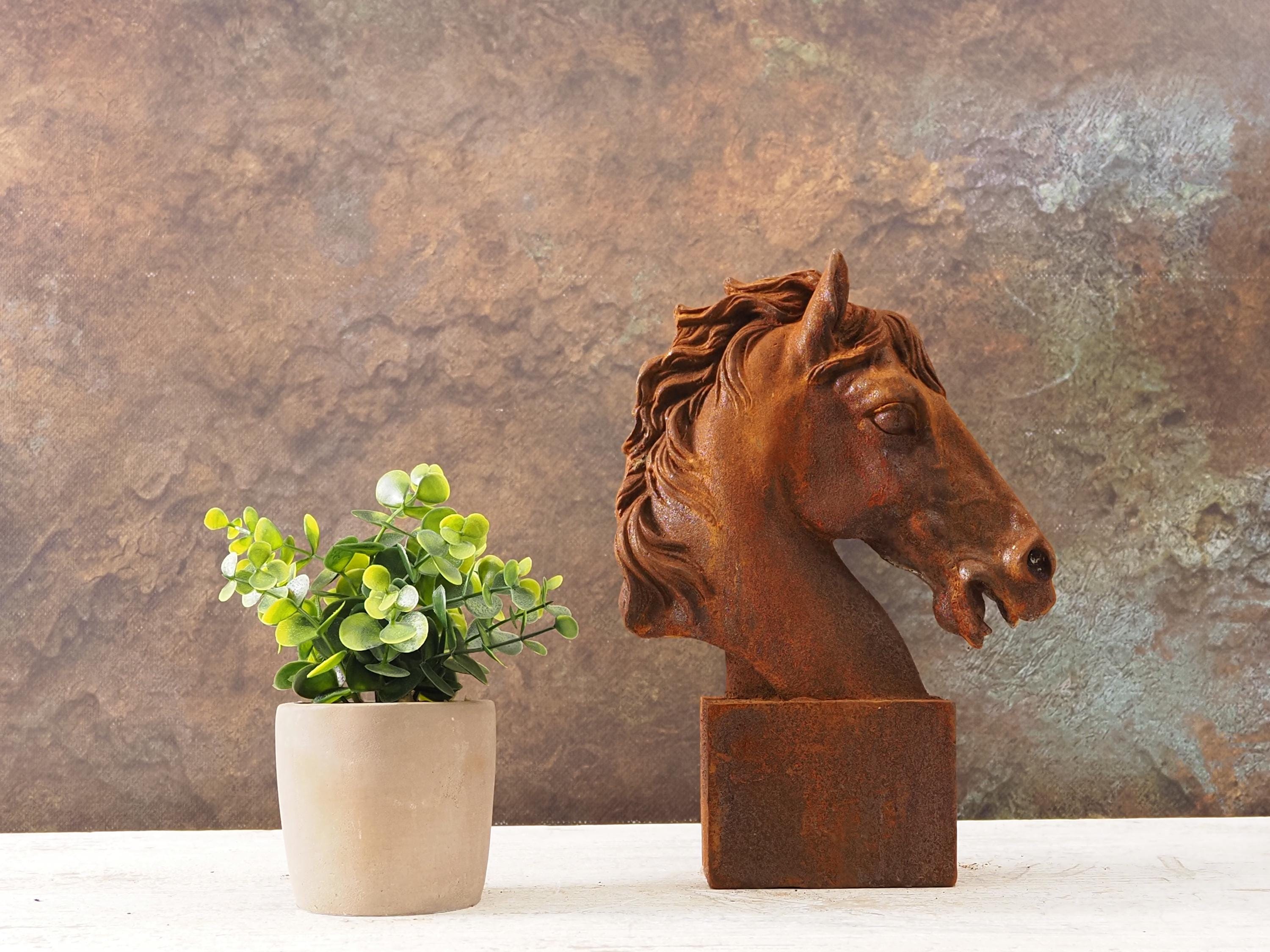 Gancho de pared con cabeza de caballo de hierro fundido rústico