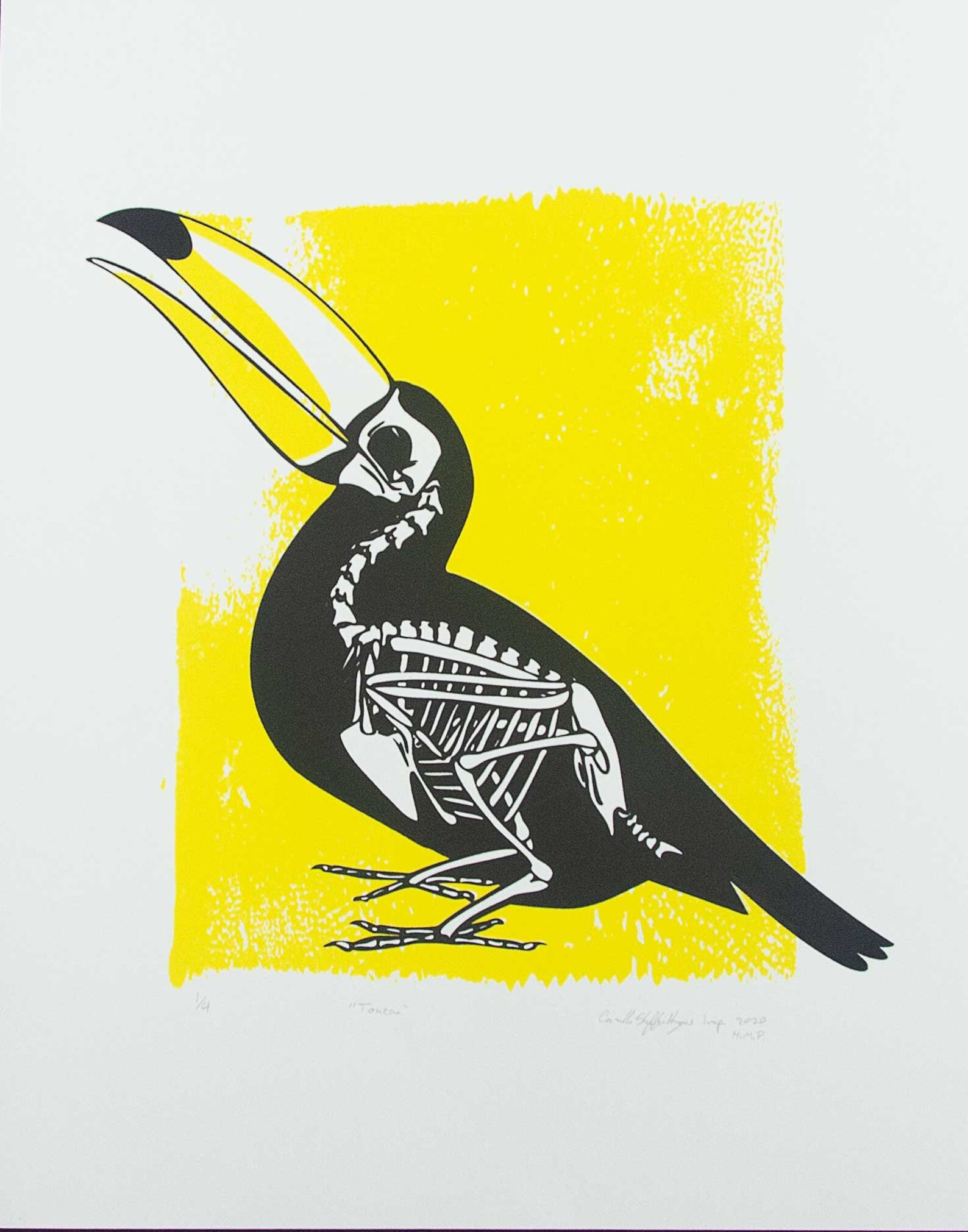 11x14 Yellow Toucan Skeleton Animal Bones Silk Screen Wall Decor - Etsy