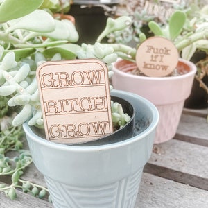 Sassy plant sign, funny plant accessories, set of 3 or 5, plant accessories, house plant sign, mini plant signs, plant marker, adult humor