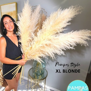 May include: A woman holds a large bouquet of pampas grass, which is a popular home decor item. The pampas grass is a light beige color and is arranged in a vase. The text "Pampas Style XL BLONDE" and "PAMPAS DESGN" is visible in the image.