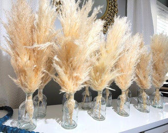 Affordable Wedding & Event Centerpieces Set 4, 6, 12 including Pampas with Vase, Rustic Wedding Decor, Event Decor, Party Decor, Baby Shower