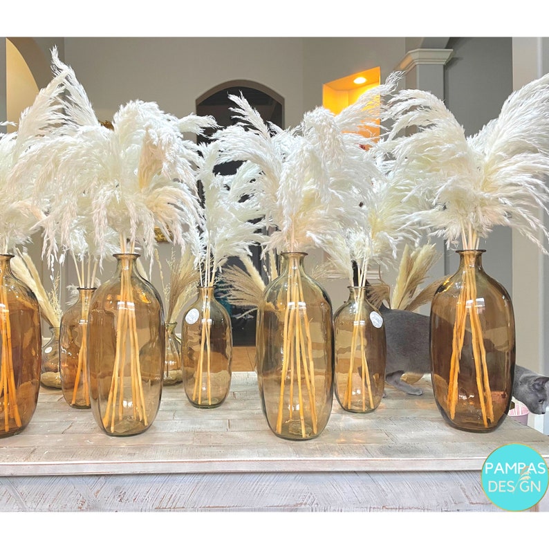 Pampas Grass 10pcs Balloon Arch Balloon Garland Boho Etsy