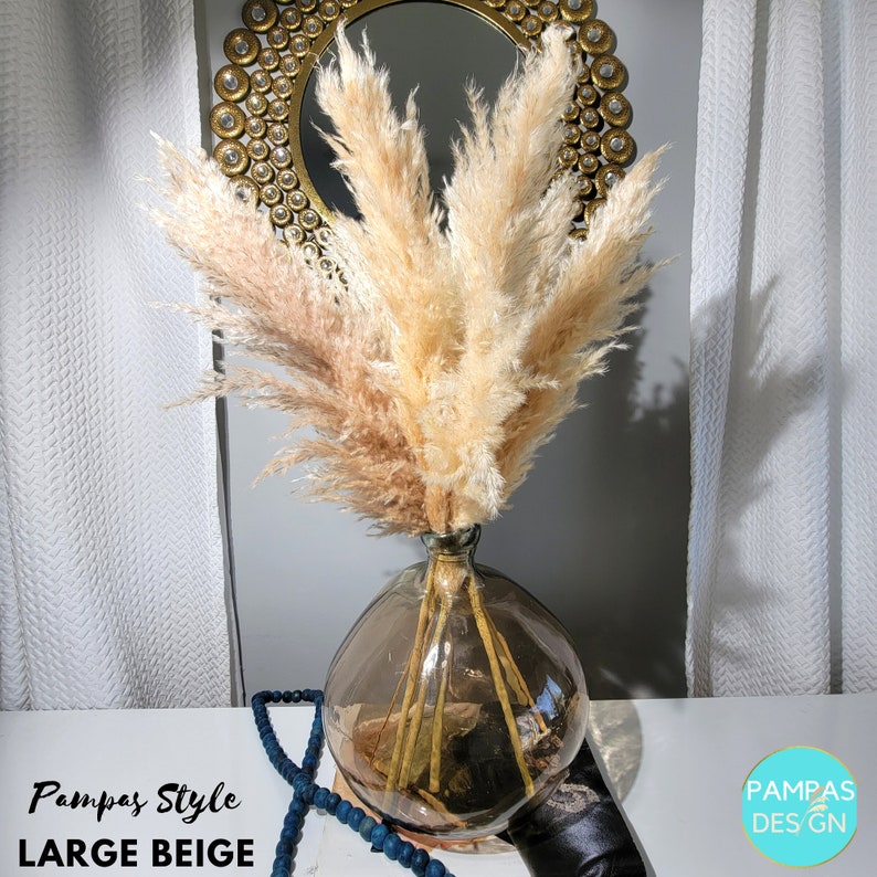 Tall Extra Large PAMPAS GRASS Fluffy 4-3.5FT Boho Wedding Decor Dried Florals Balloon Garland Wedding Decor, Wedding Arch, Baby Shower Decor 3.5-4ft Large Beige