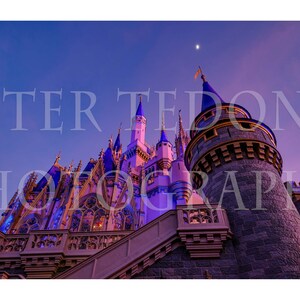 Cinderella's Castle Under the Rising Moon - Magic Kingdom, Walt Disney World 13x19 Photo Print