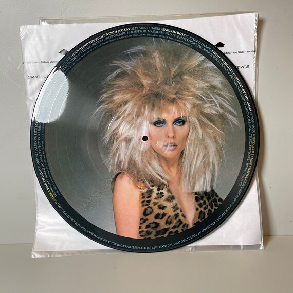Blondie - the Hunter - Vinyl LP Record (PICTURE DISK) - 1982 - Etsy