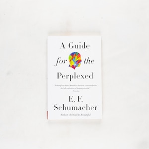 May include: A white book titled "A Guide for the Perplexed" by E.F. Schumacher. The cover features a colorful abstract head illustration. The book's title and author's name are in black font.