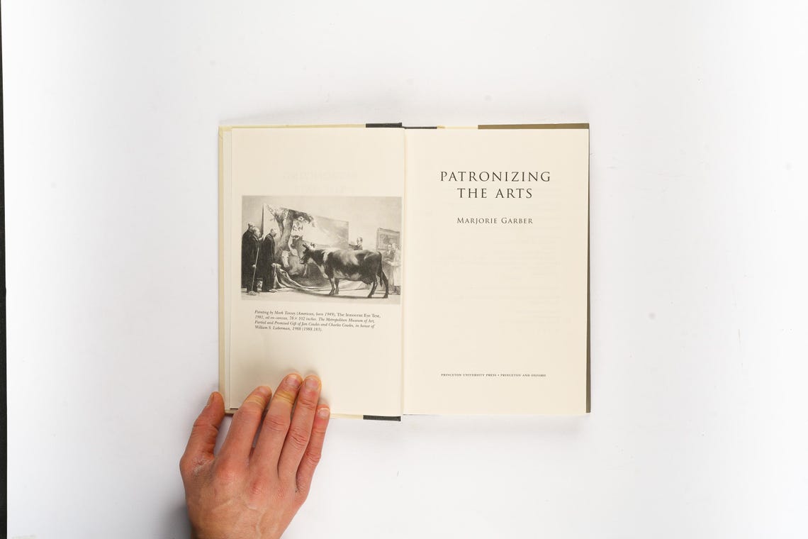 Patronizing the Arts by Marjorie Garber Rare First Edition, photo 3 of 5