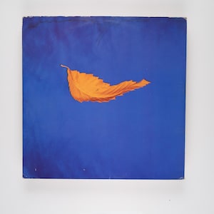 New Order - True Faith / 1963 - Vinyl LP Record - 1967