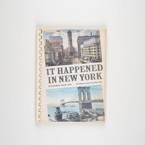 It Happened in New York by Terry Miller 1984 Edition