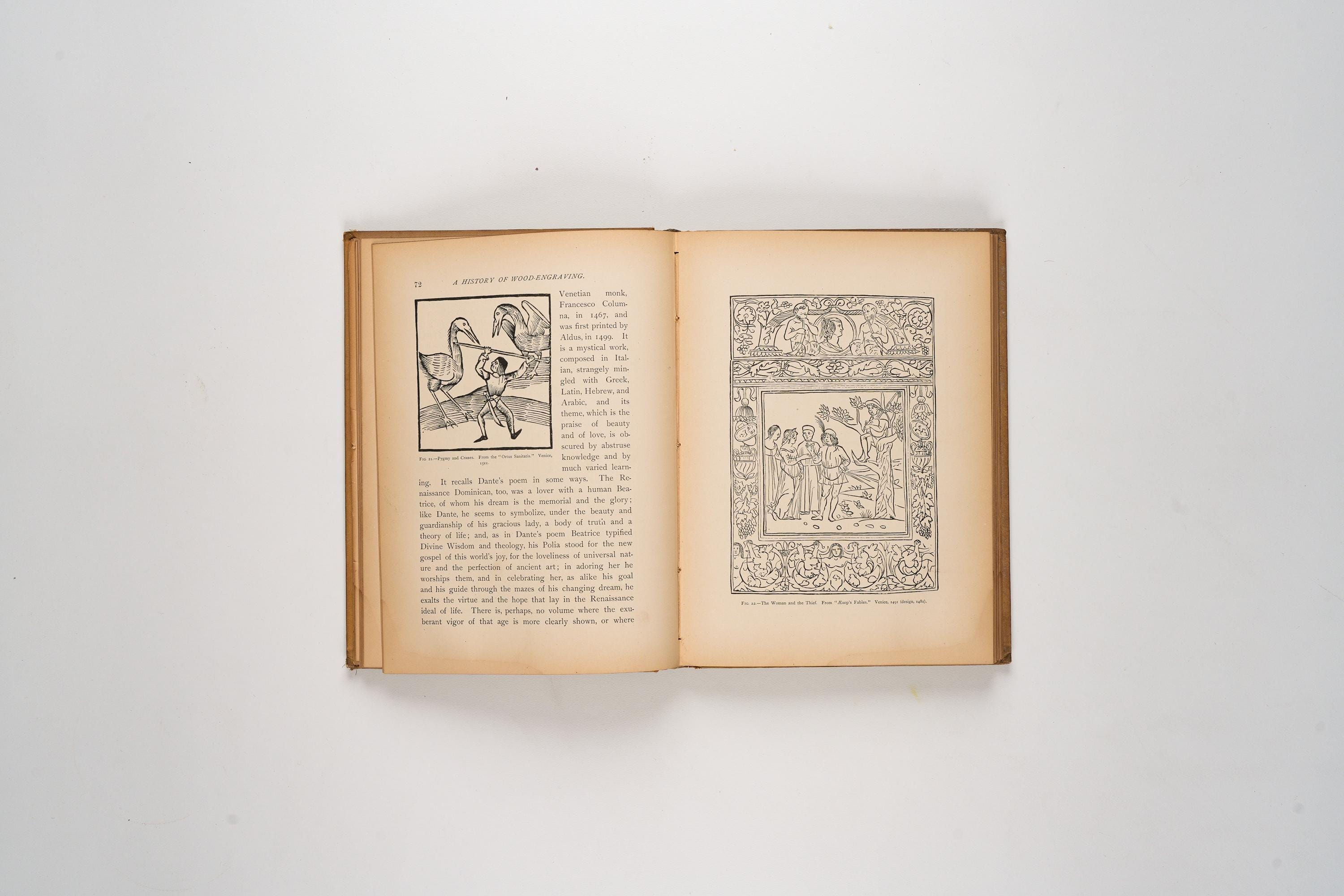 A History of Wood-engraving by George E Woodberry Rare 1883