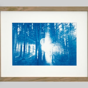 Cyanotype Forest I image 1