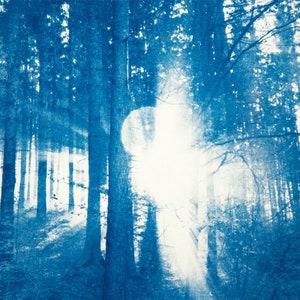 Cyanotype Forest I image 2