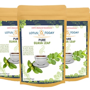 Herbal Tea Lotustoday, Pure Guava leaf  (Pack of 3)  Guava Tea, Detox immune boost Wellness herbal tea - 60 individual Tea Bags