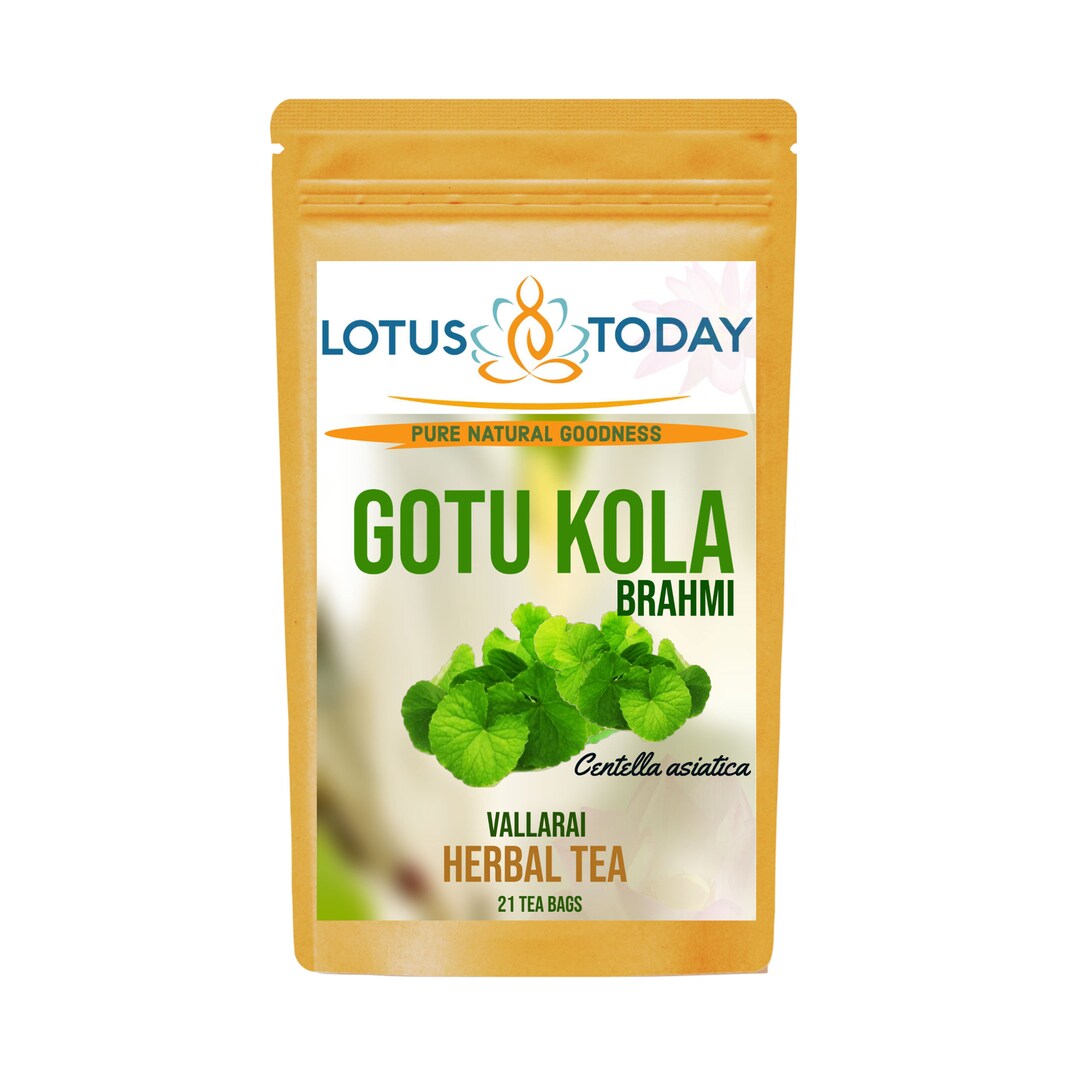 Herbal Tea Gotu Kola Tea Herbal Tea for Focus Brain Nutrition Green Tea