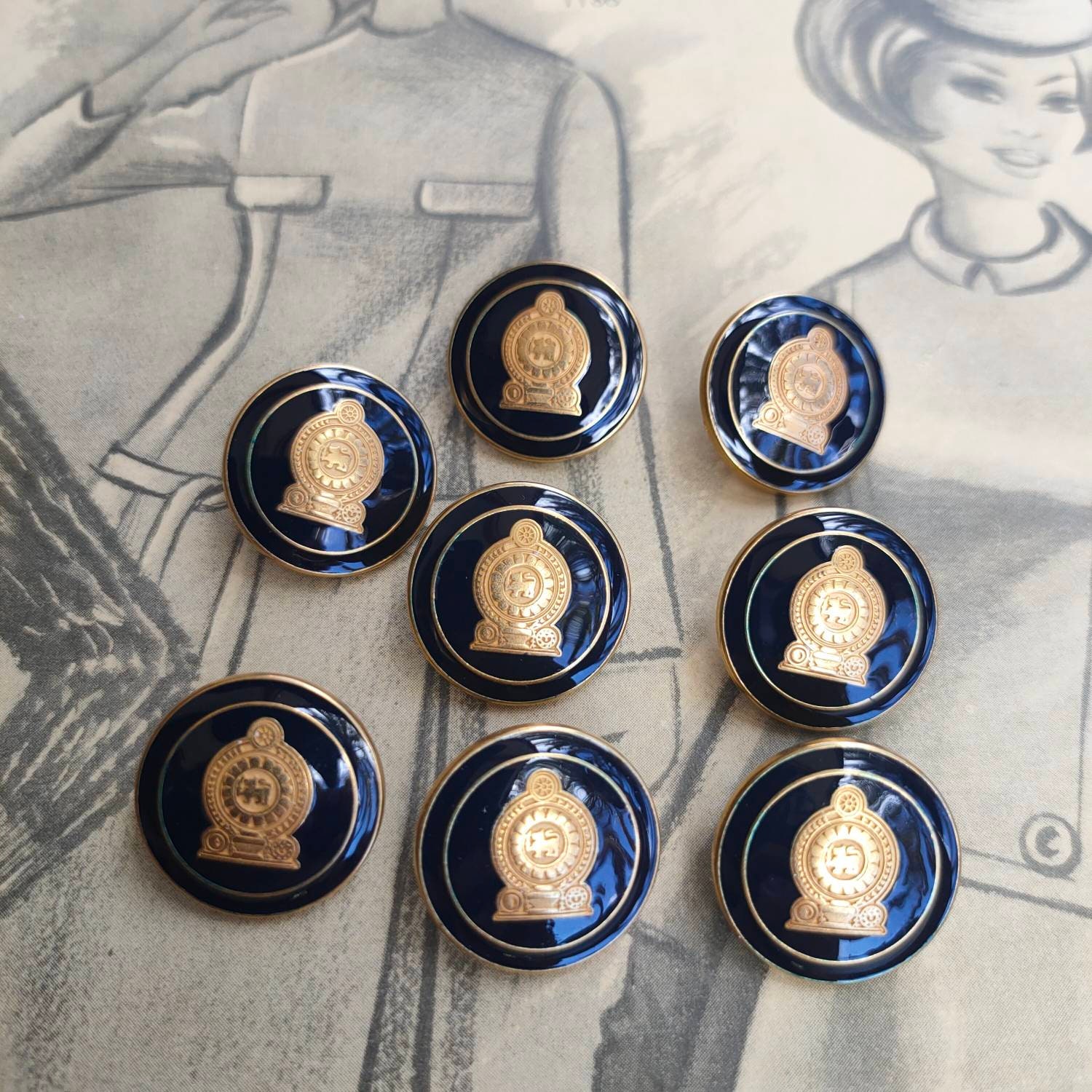 2 Blue and Gold Buttons, Black and Gold Button, Shield Button, Blue ...