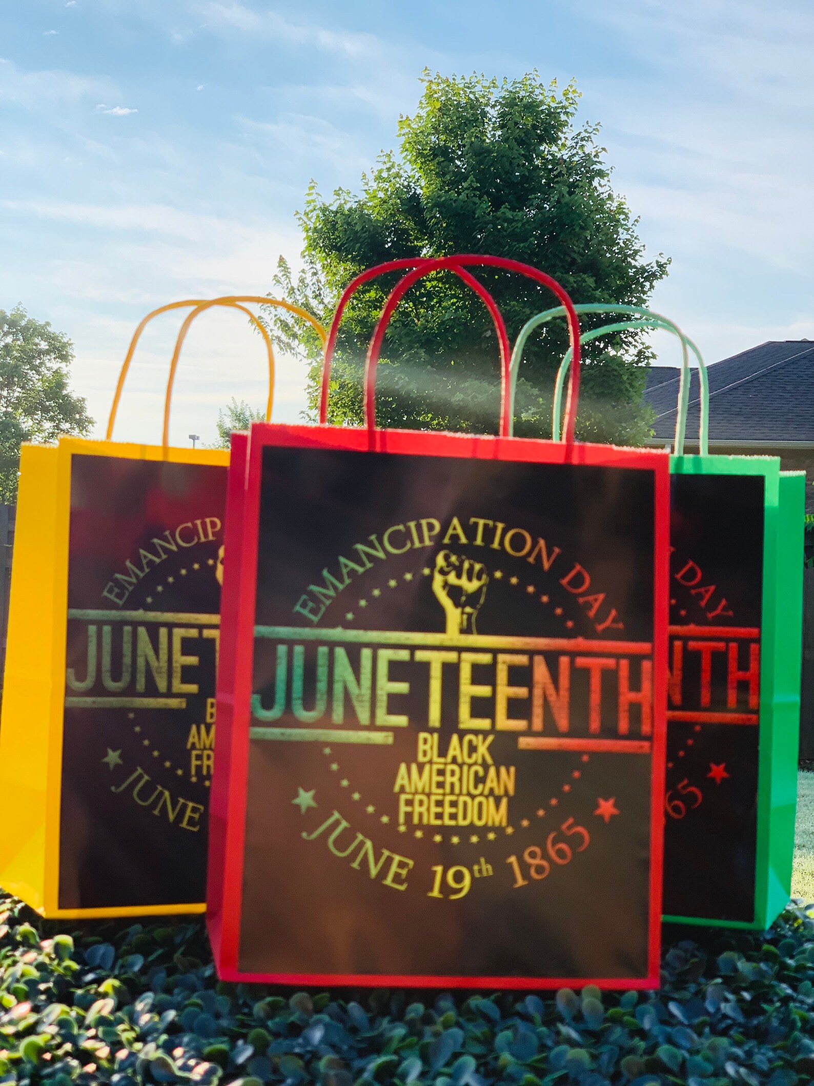 Party June 19 Farm Birthday Etsy