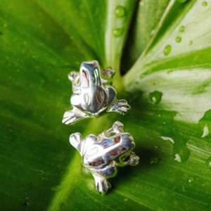 May include: A pair of silver frog earrings with abalone shell inlays. The earrings are on a green leaf background.