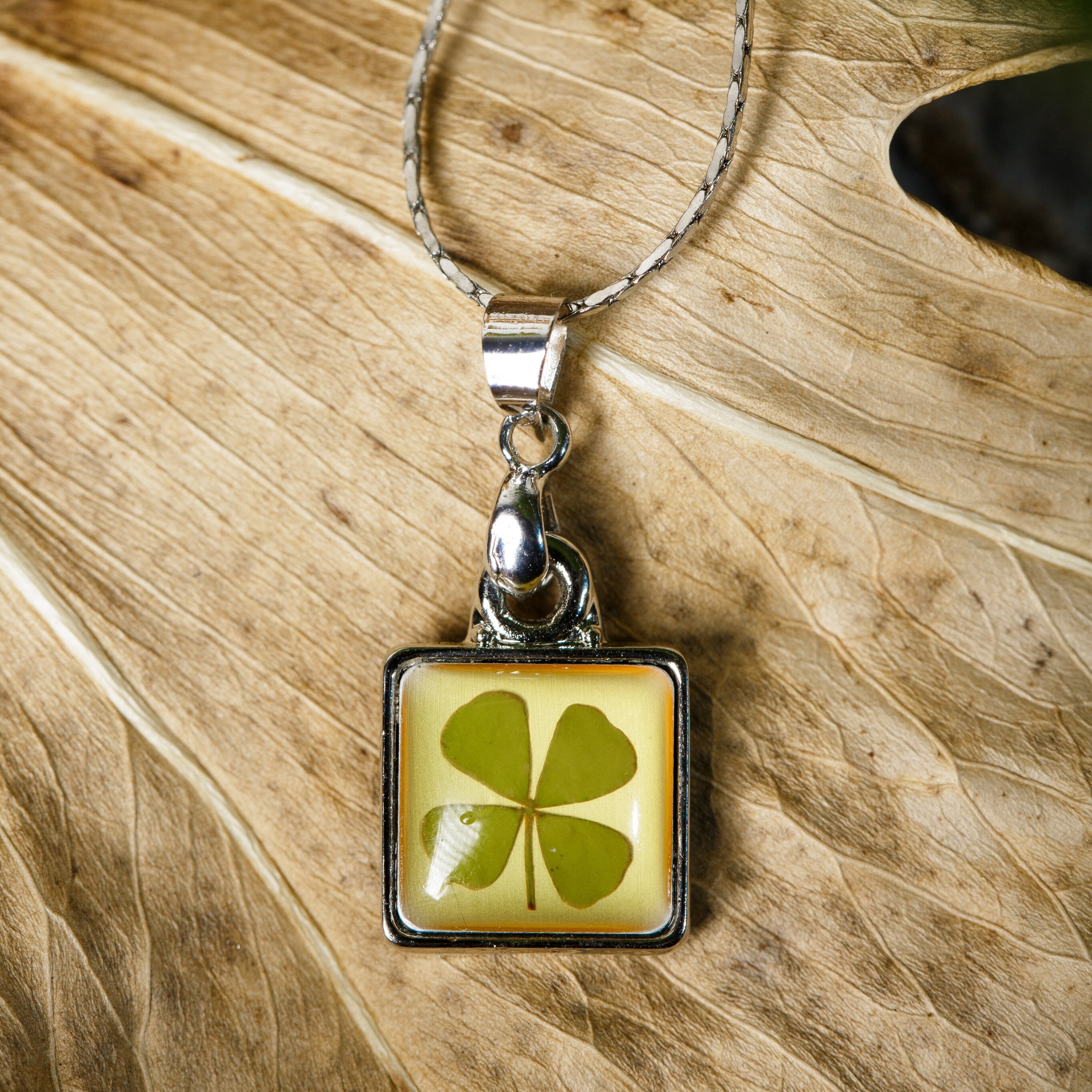 SUVANI Stainless Steel Real Four (4) Leaf Clover Good Luck