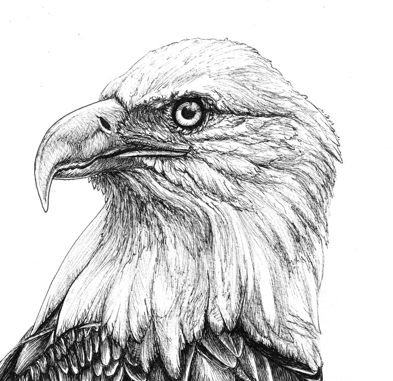 Downloadable Eagle greeting card Printable American Eagle | Etsy