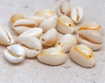 18 pcs shell, shell pendant, Cauri shell pendant