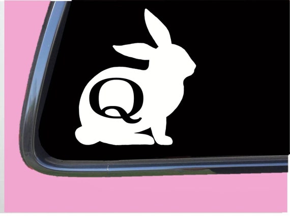 Choose Your Color or Pattern and Size car stickers Q Decal Rabbit Decal Qanon
