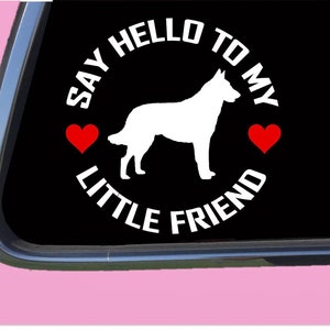 Dutchie my Little Friend TP 1063 vinyl  Decal Sticker dutch shepherd