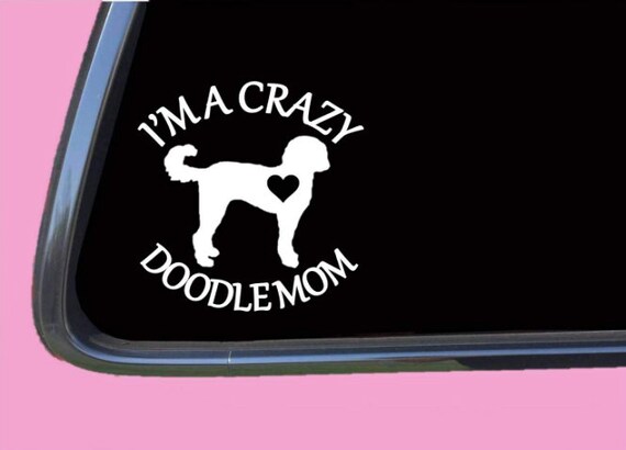 Crazy goldendoodle 2025