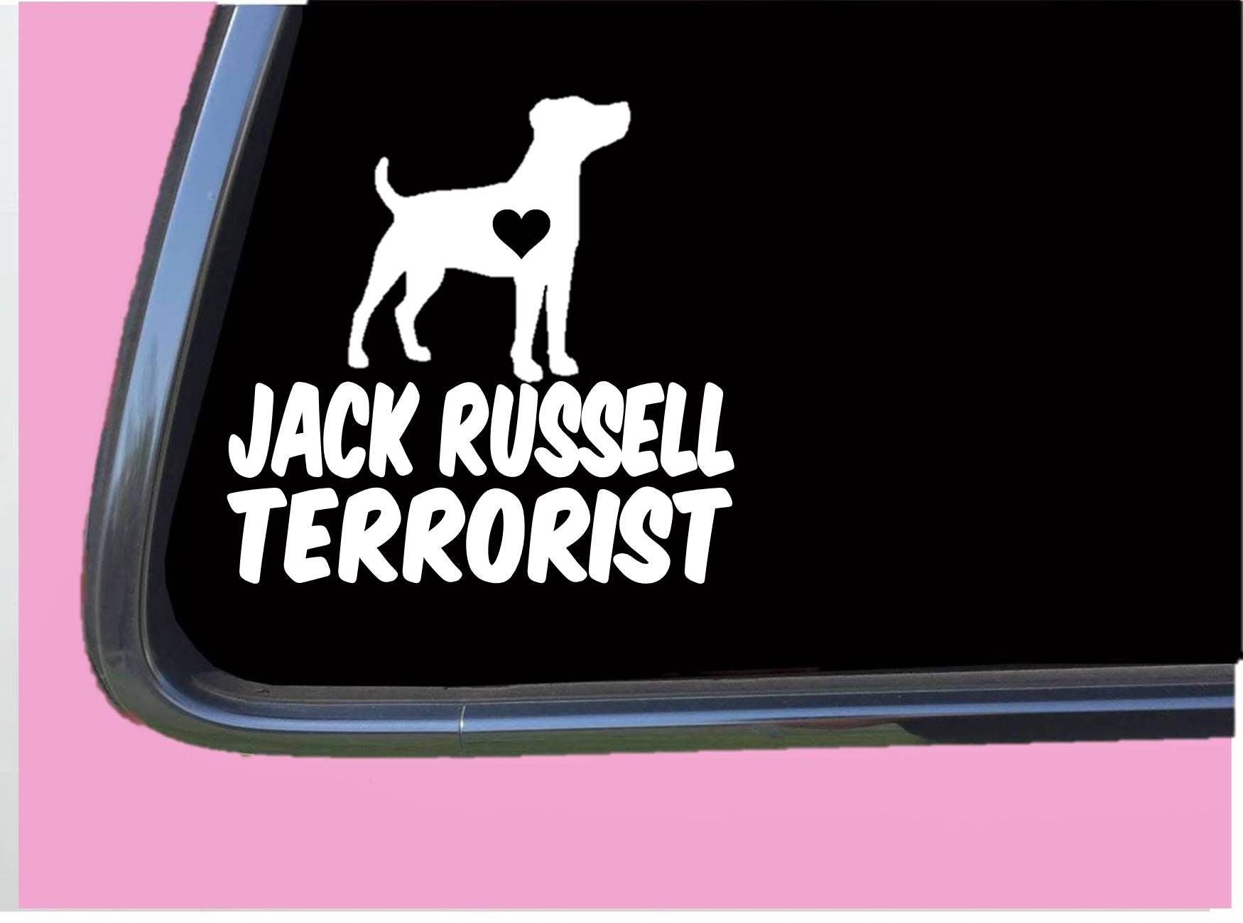 Targa Metallo Jack Russell Terrier 'Hier Wache Ich!' | 30x20 Cm | Resistente Intemperie | Attenzione Cane - 3