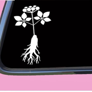 Ginseng TP 673 decal sticker seeds extract book growing