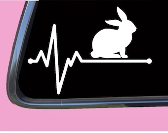 Blue-eyed White Lionhead Rabbit Sticker Cute White Bunny - Etsy