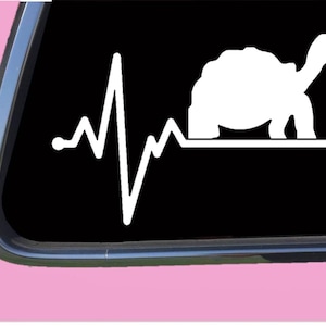 Tortoise Lifeline TP 233 Vinyl Aufkleber Sticker Schildkröte Terrarium Rock Futter