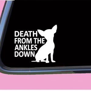 Chihuahua Death from the Ankles Down TP 628 dog breed Decal Sticker