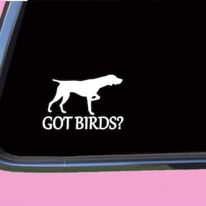 May include: White silhouette of a dog in a pointing stance, with the text "GOT BIRDS?" below. The image is a decal, likely for a car window, against a black background.