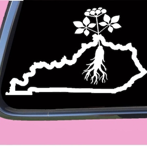 Kentucky Ginseng TP 674 decal sticker seeds growing extract capsules