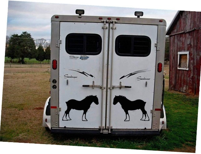 Adesivi Per Auto, Per Camper, Furgone Per Cavalli, Roulotte - Foto 6