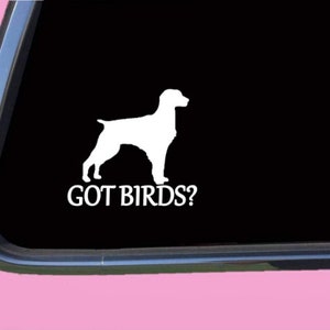 Brittany Spaniel got birds TP 1335 vinyl  Decal Sticker bird dog vest
