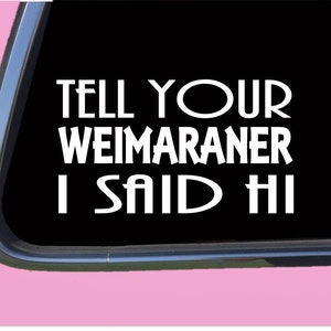 Weimaraner Said Hi TP 859 Sticker  Decal dog breed rescue