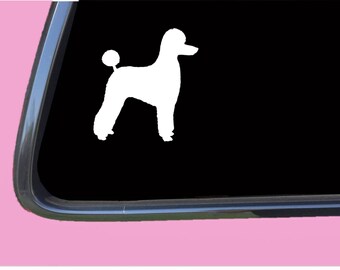 Poodle pet cut TP 575 vinyl  Decal Sticker dog groomer labradoodle doodle