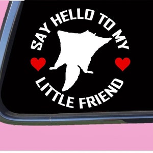 Glider my Little Friend TP 1073 vinyl  Decal Sticker flying squirrel