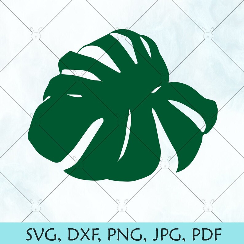 Download Monstera leaf svg / Tropical Leaves svg / Swiss Cheese ...