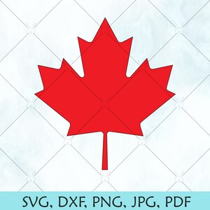 May include: A red maple leaf, a symbol of Canada, is outlined in black. The leaf is isolated on a white background.