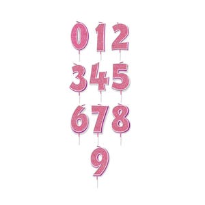 Pink Glitz Single Number Candle Special Birthday Candle Cake Party Accessories