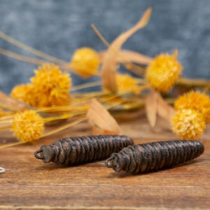 May include: Two antique, dark brown, cone-shaped objects with a loop at one end, resting on a wooden surface. The background features dried yellow flowers and a blue-gray backdrop, creating a rustic aesthetic.